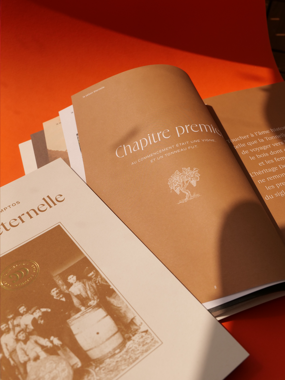 graine_200-ans_16