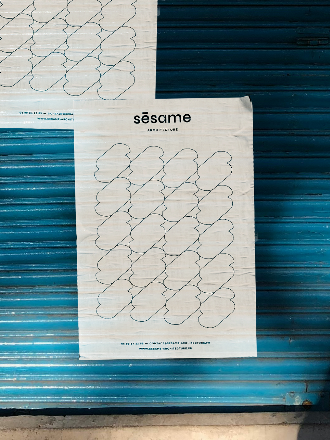 graine_sesame_05