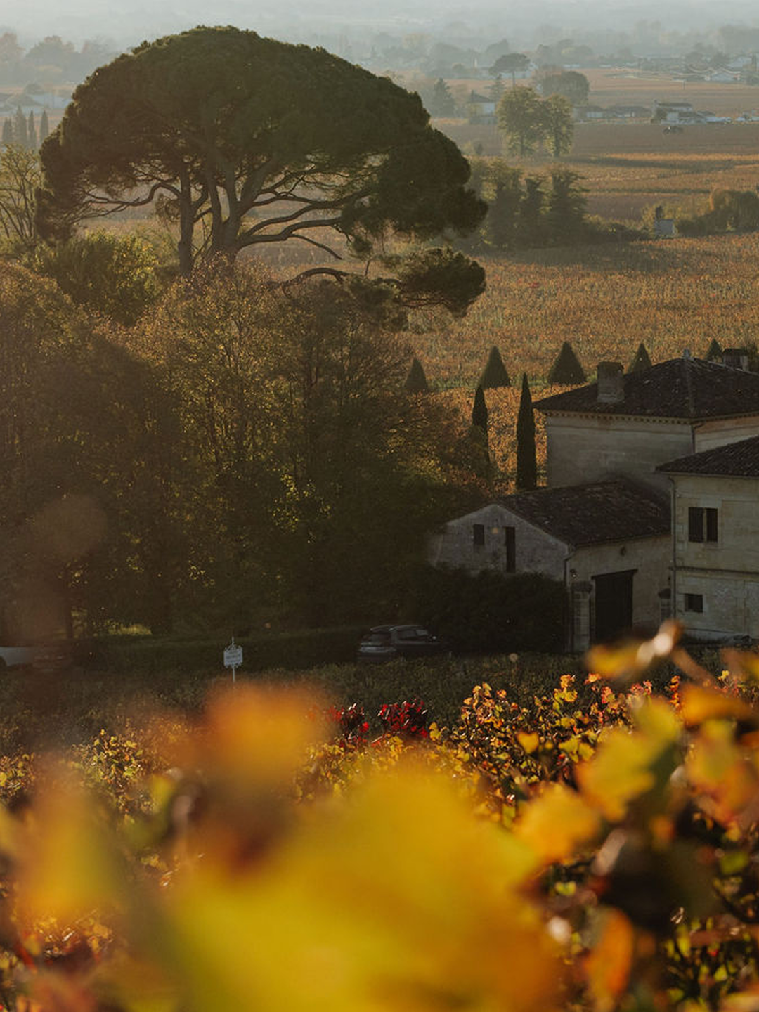 graine_la-cote-larcis_25